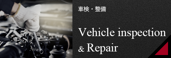 vehicle_inspection_bnr